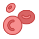 érythrocytes icon