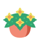 Begonia icon