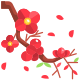 Cherry Blossom icon