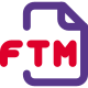 FTM files are audio files created by FamiTracker such as short audio samples and notes in a melody. icon