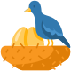 Bird Nest icon