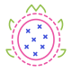 Dragon Fruit icon