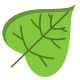Catalpa Leaf icon