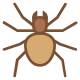 Spinne icon