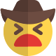Uncomfortable cowboy emoticon facial expression with hat icon