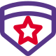 Double emblem with star insignia badge for high ranking officer icon