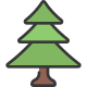 Sapin icon