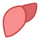 Liver icon