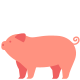 Porc icon