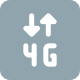 4G icon