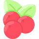 Cranberry icon