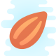 Almond icon