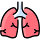 Lungs icon