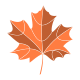 Maple leaf icon