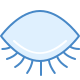 Closed Eye icon