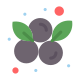 Blueberry icon