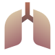 Pulmones icon