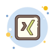 Xing icon