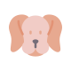 Labrador icon