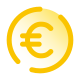 Euro icon