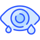 Eye icon