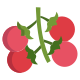 Cherry Tomato icon