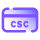 Код защиты CSC icon