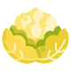 Blumenkohl icon