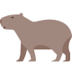 capibara icon
