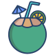 Coco icon