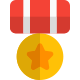 Star circle medal for the marine corps officers icon