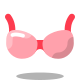 Bra icon