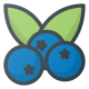 Blueberry icon