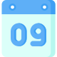 Date icon