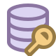 Data Encryption icon