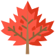 Maple Leaf icon