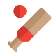 Cricket outdoor sports with bat and ball icon