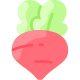 Beetroot icon