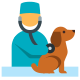 exame veterinário icon