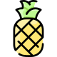 Piña icon