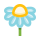 Camomile icon