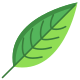 Heliconia Leaf icon