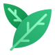 Bay Leaf icon