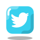 Logo Twitter encadré icon