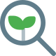 Organic Search icon