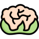 Blumenkohl icon