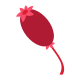 Rosehip icon