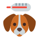 애완동물 건강검진 icon