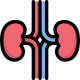 Anatomy icon