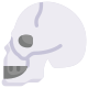 Anatomy icon